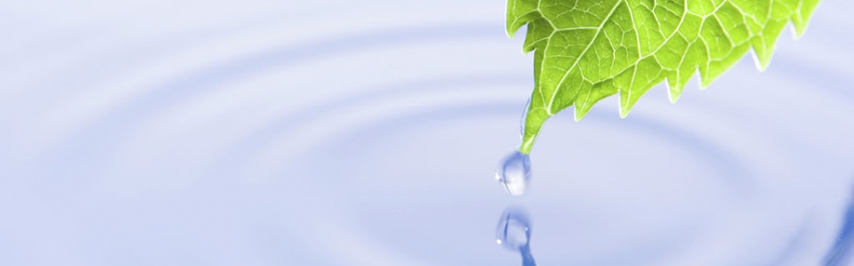 #1 - Streamtree